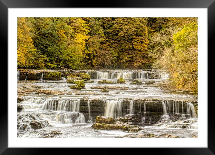 Aysgarth Falls in Autumn Framed Mounted Print by Lynne Morris (Lswpp)