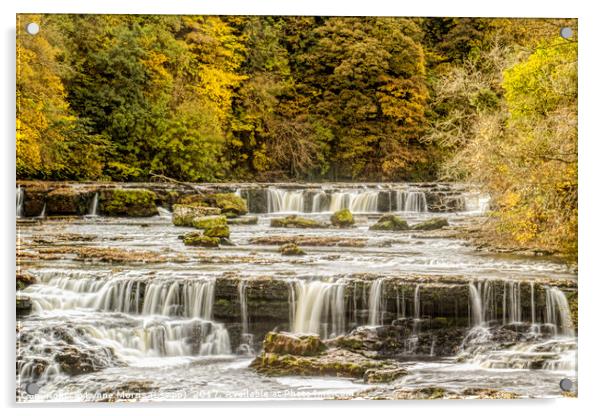 Aysgarth Falls in Autumn Acrylic by Lynne Morris (Lswpp)