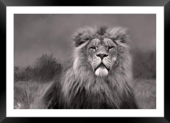 King of the Jungle  Framed Mounted Print by Chantal Cooper