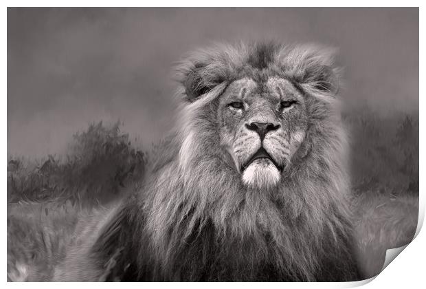 King of the Jungle  Print by Chantal Cooper