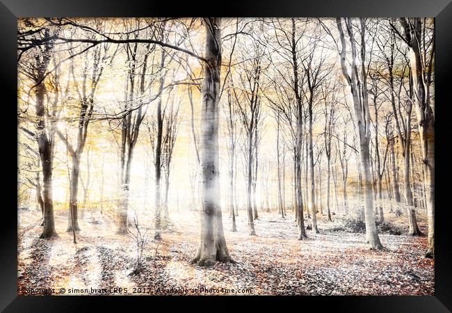 Whispering woodland in autumn fall Framed Print by Simon Bratt LRPS