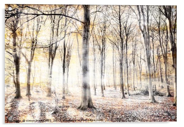Whispering woodland in autumn fall Acrylic by Simon Bratt LRPS