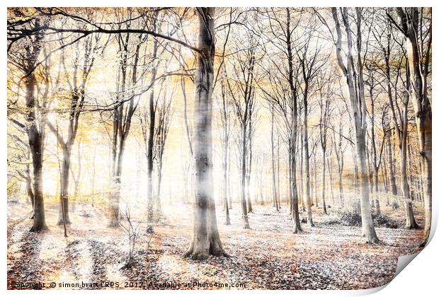 Whispering woodland in autumn fall Print by Simon Bratt LRPS