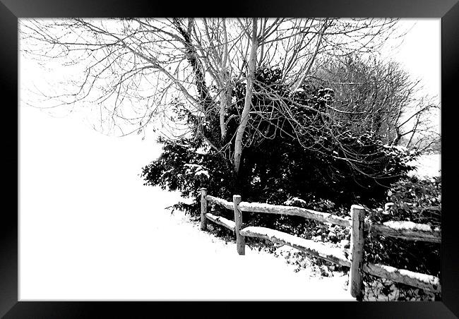 Snowy Fence Framed Print by Karen Martin