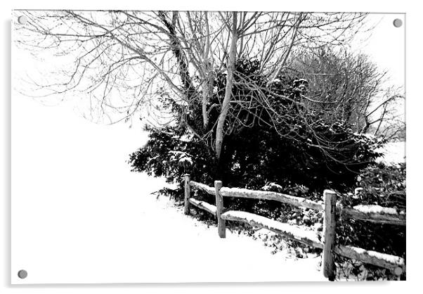 Snowy Fence Acrylic by Karen Martin
