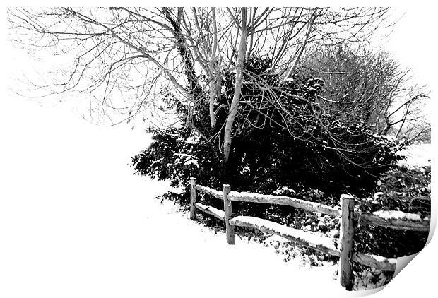 Snowy Fence Print by Karen Martin
