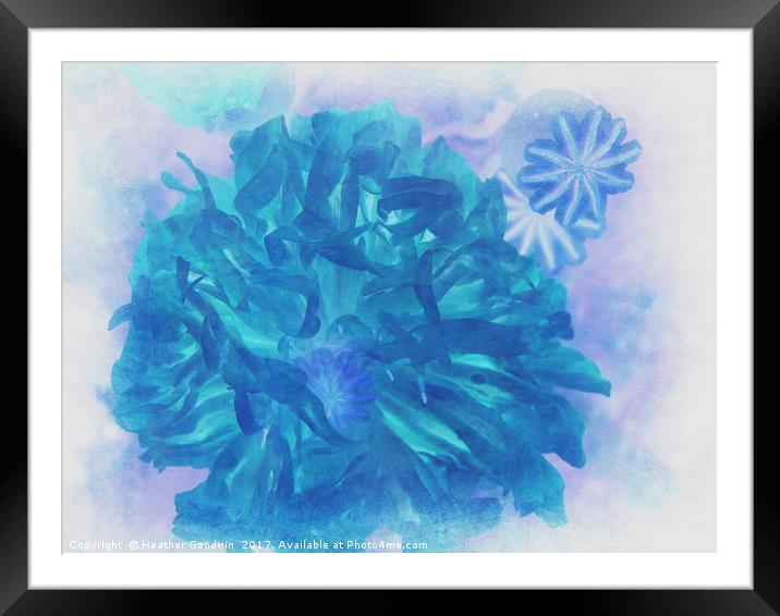 Blue Peony Framed Mounted Print by Heather Goodwin
