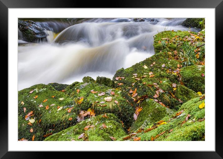 Waters and Leaves Framed Mounted Print by Bob Small
