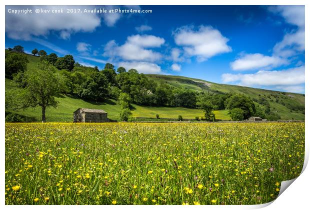 Meadows of Muker Print by kevin cook
