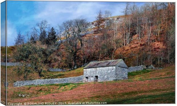 "Stone barn on the hillside" Canvas Print by ROS RIDLEY