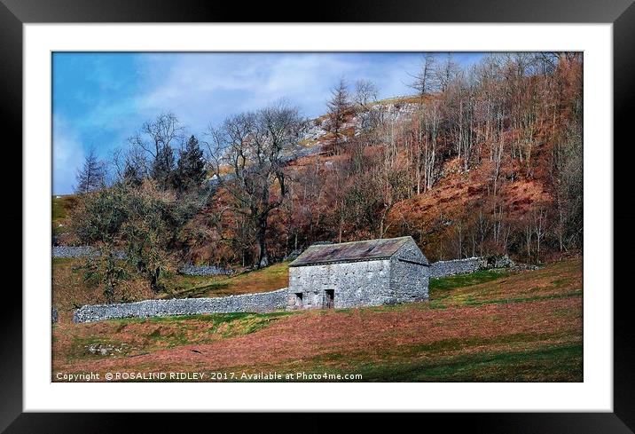 "Stone barn on the hillside" Framed Mounted Print by ROS RIDLEY