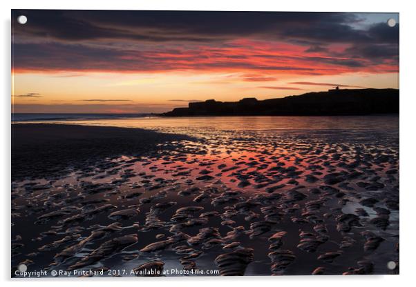 South Shields Beach at Sunrise Acrylic by Ray Pritchard