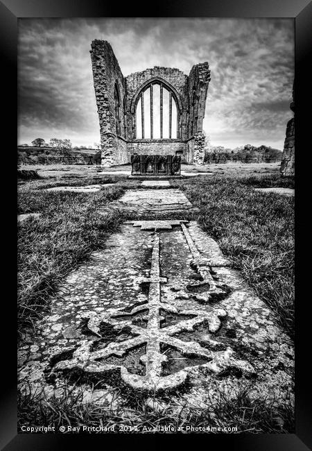 Egglestone Abbey  Framed Print by Ray Pritchard