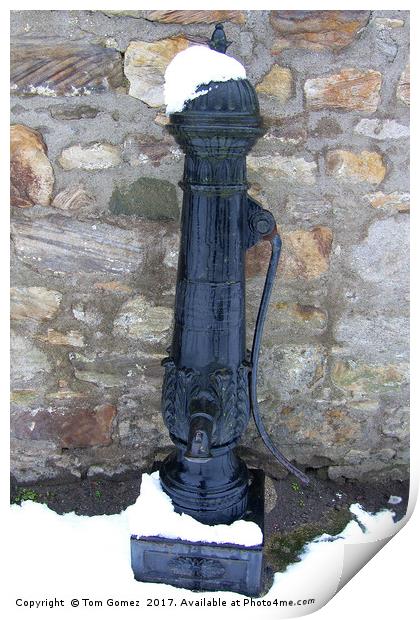 The old hand pump at Blackness Print by Tom Gomez