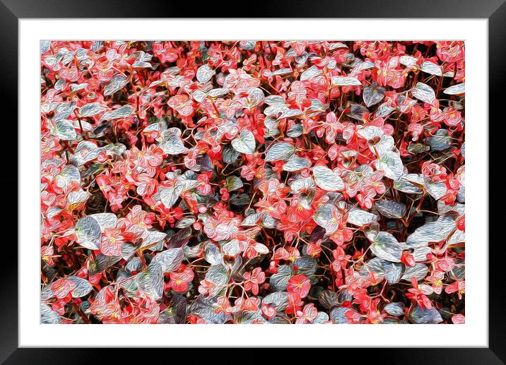 She Wore Red Flowers Framed Mounted Print by John Williams