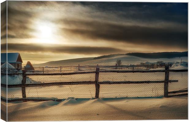 Visions of Sun Snow Canvas Print by John Williams
