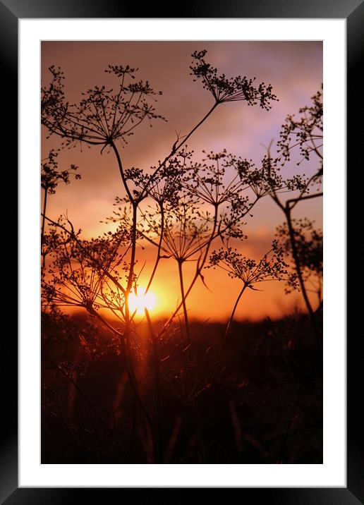 Winters Sunset in Faversham Framed Mounted Print by Darren Willmin