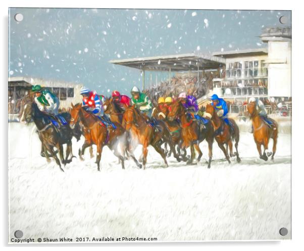 Winter Racing Acrylic by Shaun White