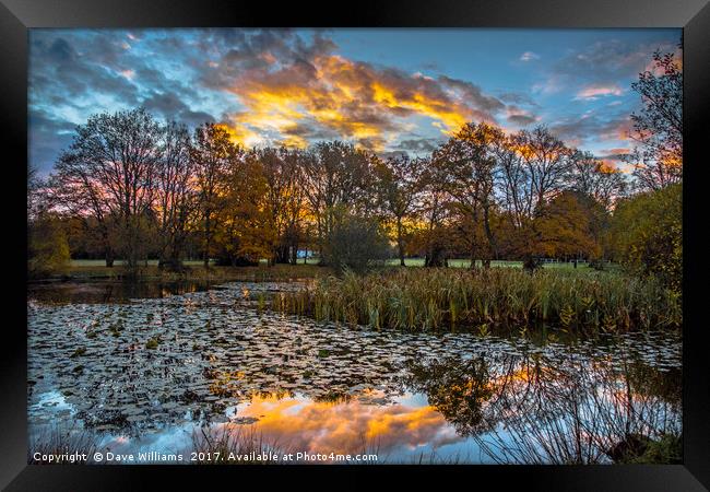 Fire in the sky! Framed Print by Dave Williams