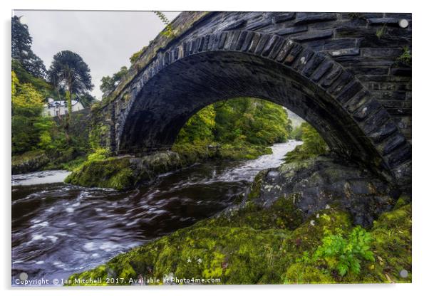 Water Under The Bridge Acrylic by Ian Mitchell