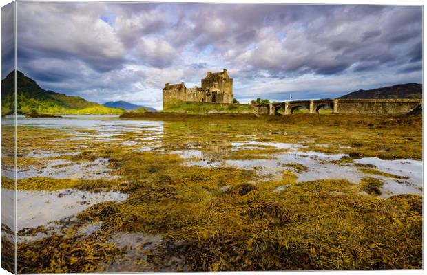 Eilean Donan castle Highlands Scotland  Canvas Print by Michael Brookes