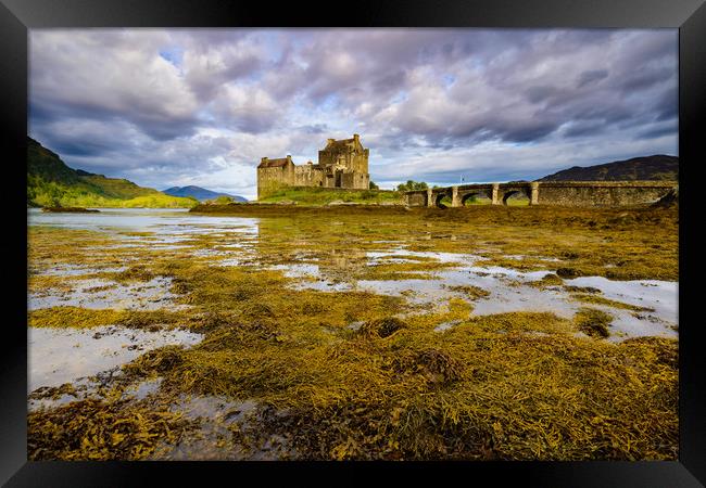 Eilean Donan castle Highlands Scotland  Framed Print by Michael Brookes