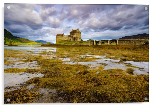 Eilean Donan castle Highlands Scotland  Acrylic by Michael Brookes
