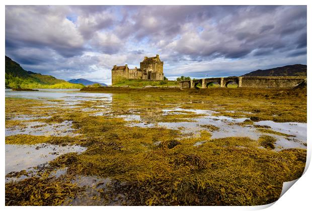 Eilean Donan castle Highlands Scotland  Print by Michael Brookes