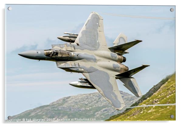 USAF F-15C Eagle Acrylic by Bob Sharples