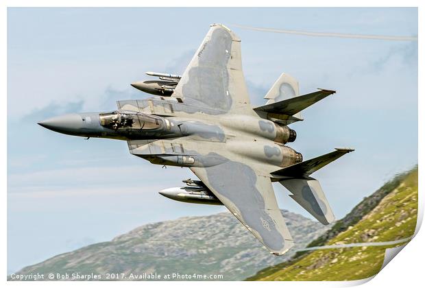 USAF F-15C Eagle Print by Bob Sharples