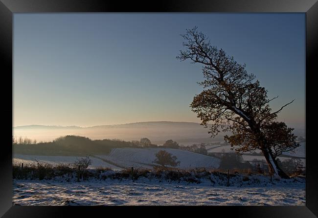 Snow and Sunrise - Devon Framed Print by Pete Hemington
