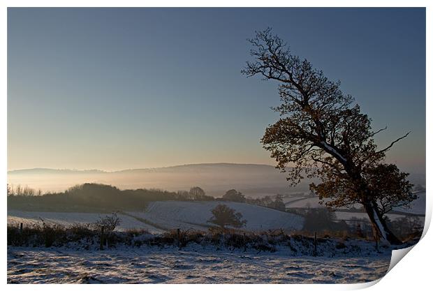 Snow and Sunrise - Devon Print by Pete Hemington
