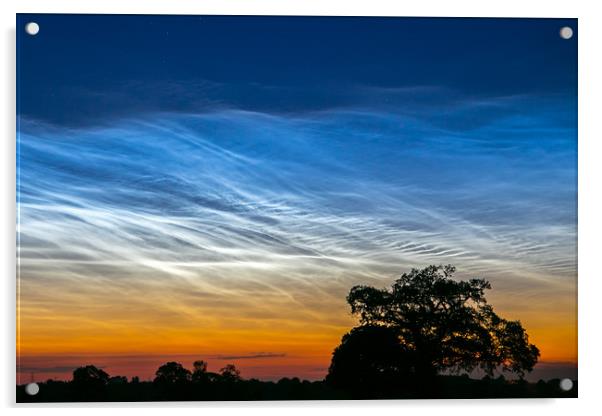 NOCTILUCENT Acrylic by Steve Lansdell