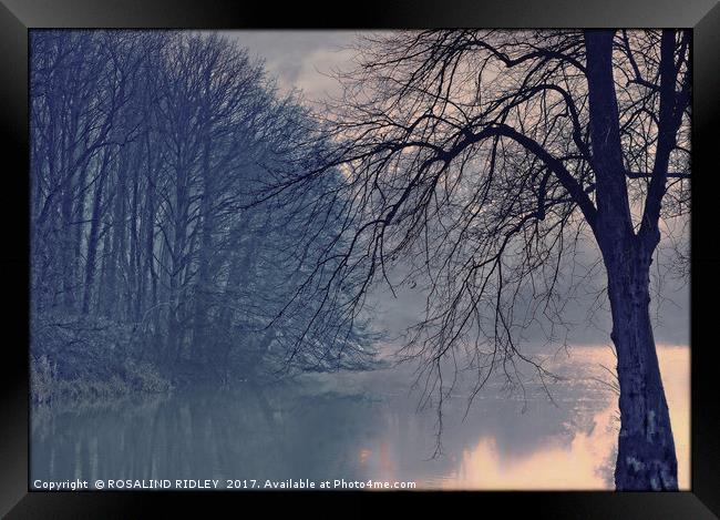"Misty night by the lake" Framed Print by ROS RIDLEY