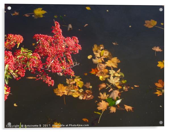 Autumnal Reflections Acrylic by Antoinette B