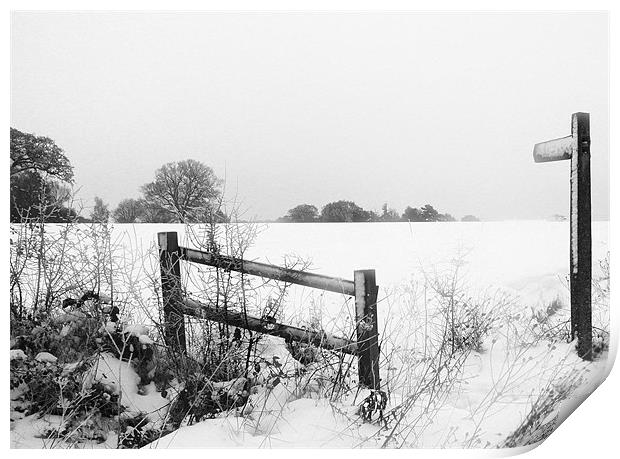 Essex Farm in Snow Print by peter tachauer