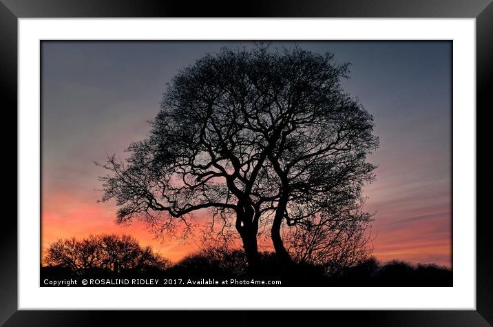 "Fire on the horizon" Framed Mounted Print by ROS RIDLEY