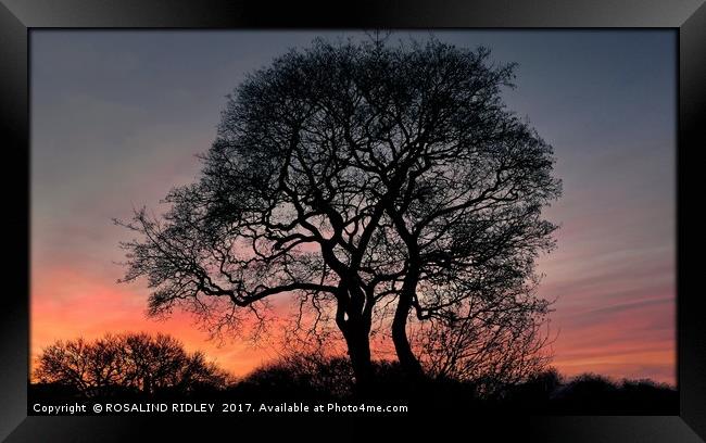"Fire on the horizon" Framed Print by ROS RIDLEY