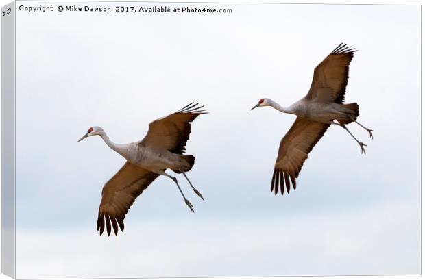 Pattern of Two Canvas Print by Mike Dawson