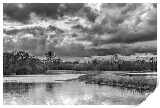 Suns Rays in Mono Print by Colin Stock