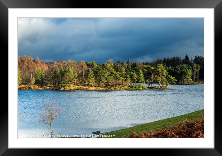 Tarn Hows Winter Day Lake District National Park Framed Mounted Print by Nick Jenkins