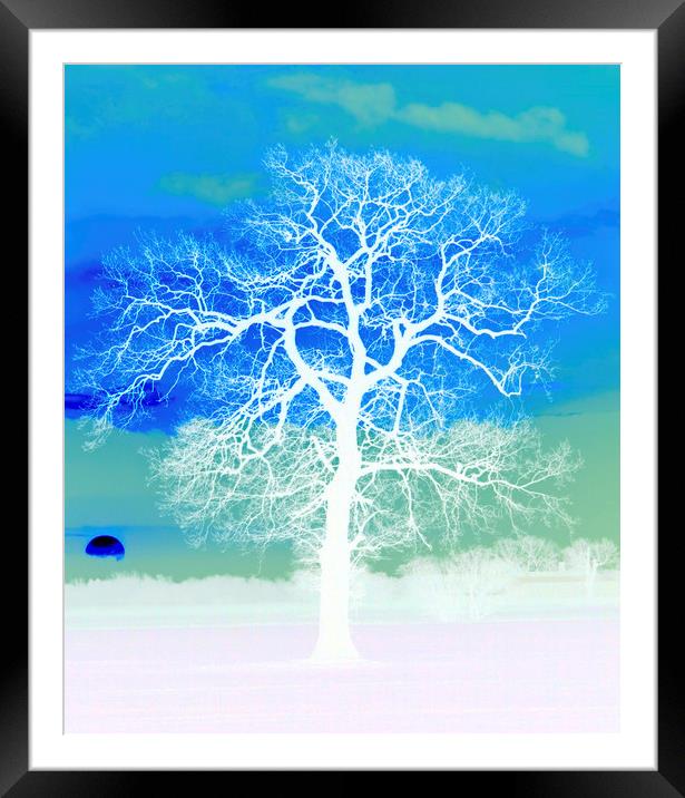 Silhouetted Sunrise Tree  Framed Mounted Print by Darren Burroughs