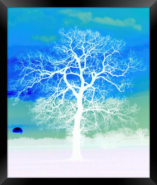 Silhouetted Sunrise Tree  Framed Print by Darren Burroughs