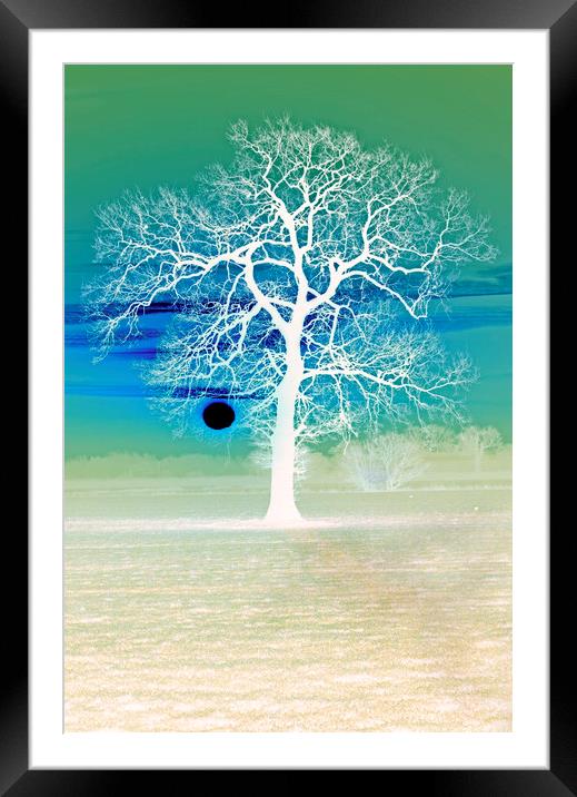 Winter tree at sunrise Framed Mounted Print by Darren Burroughs