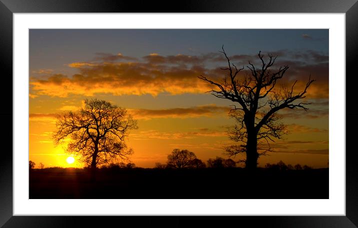 Golden Winter Sunrise Framed Mounted Print by Darren Burroughs