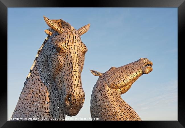 Sunkissed Kelpies Framed Print by Stephen Taylor