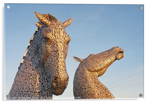 Sunkissed Kelpies Acrylic by Stephen Taylor