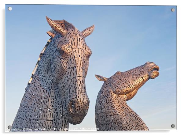 First Light at the Kelpies Acrylic by Stephen Taylor