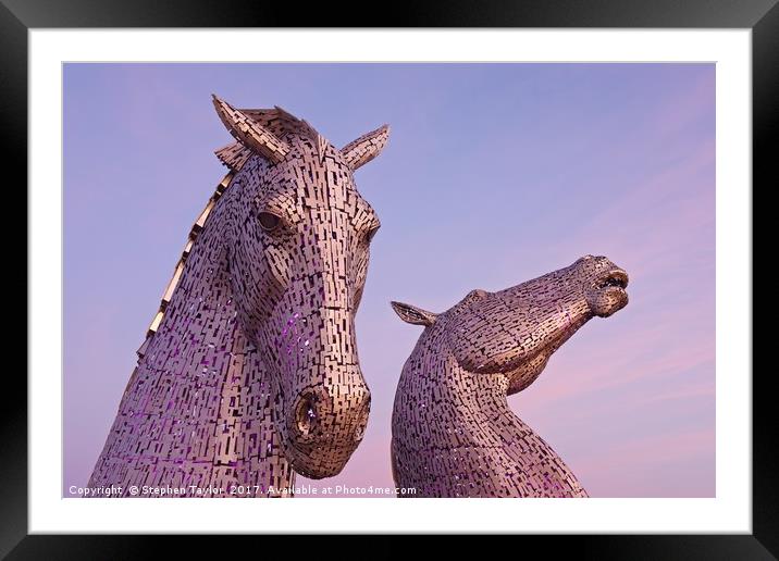 Pink Skies at the Kelpies Framed Mounted Print by Stephen Taylor