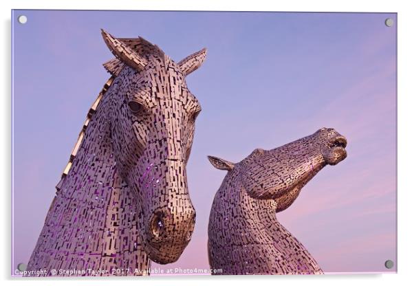 Pink Skies at the Kelpies Acrylic by Stephen Taylor